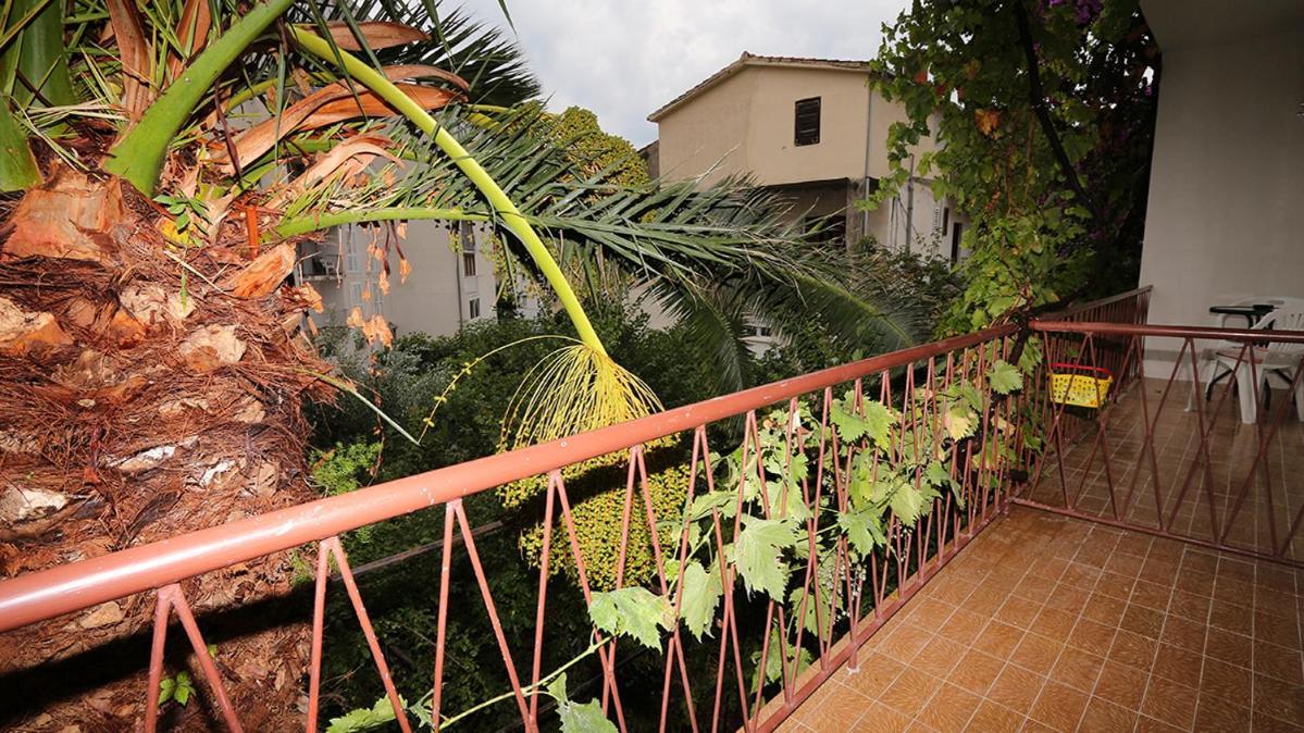 Apartment Biljana *
